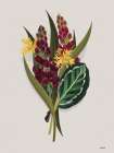 Tropical Sprig Botanical Print
