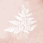 Blush Fern I Botanical Print