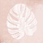 Blush Fern III Botanical Print