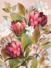 Bohemian Romance Art Print