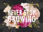 Never Stop Growing Art Print