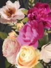 Moody Floral Art Print