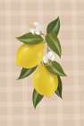 Lemon Botanical II Kitchen Print