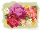 Summer Citrus Floral I Art Print