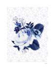 Peony Blossom in Blue Art Print