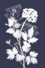 Blues in Bloom I Art Print