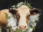 Aggie Art Print