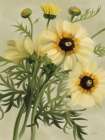 Moody Daisies Art Print