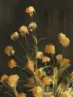 Golden Yarrow Art Print