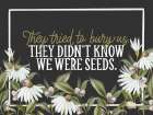 We Were Seeds Art Print