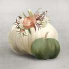 Boho Pumpkins Art Print