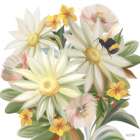 Sunny Floral and Bee Art Print