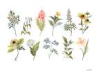 Spring Botanicals Art Print