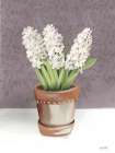 House Hyacinth Plant Art Print