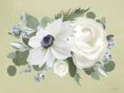 Anemone in Sage I Art Print