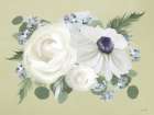 Anemone in Sage II Art Print