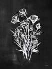 Chalkboard Wildflower II Art Print