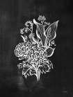 Chalkboard Wildflower IV Art Print