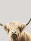 Hairy Highland Art Print