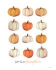 Hello Pumpkin Art Print