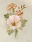 Peach Carnations I Art Print