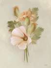 Peach Carnations II Art Print