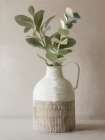 Eucalyptus in Vase Minimalist Print