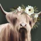 White Petal Highland Art Print