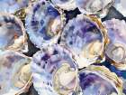 Clam Shellabration Art Print
