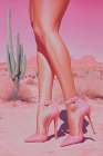 Desert Heels Art Print