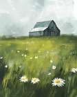 Daisy Field Art Print