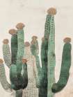 Cactus Cluster Art Print