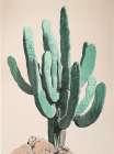 Branching Out Art Print