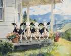 View from the Udder Side Art Print