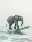 Ridin the Wave Art Print
