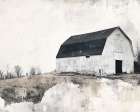Country Quiet Art Print