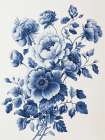 Blue Porcelain Flowers 3 Art Print