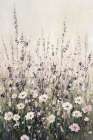 Lavender Fields Art Print