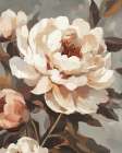 Blush and Bloom I Art Print
