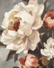 Blush and Bloom II Art Print