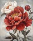 Crimson and Cream Peonies II Art Print