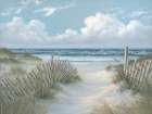 Pathway Through the Dunes Art Print