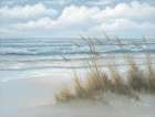 Sea Oats Art Print