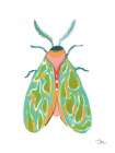 Fancy Moth I Art Print