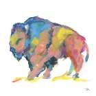 Rainbow Roamer 1 Art Print