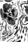 Shadow Blooms II Art Print
