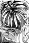 Shadow Blooms III Art Print