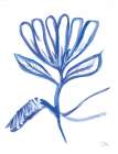 Blue And White Single Flower Art Print