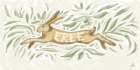 Hare in Motion Art Print