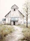 White Barn Art Print